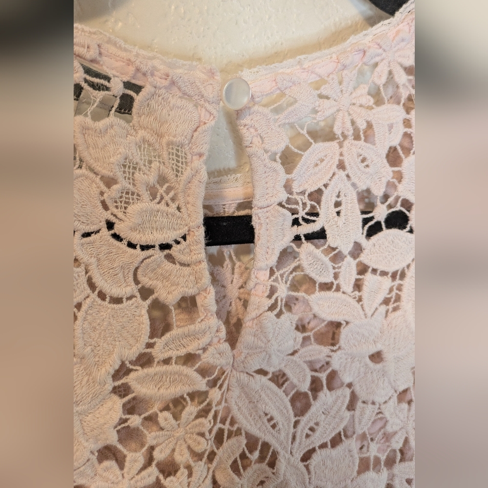Joie Charnette Floral Lace Top in Rosewater - Picture 5 of 8